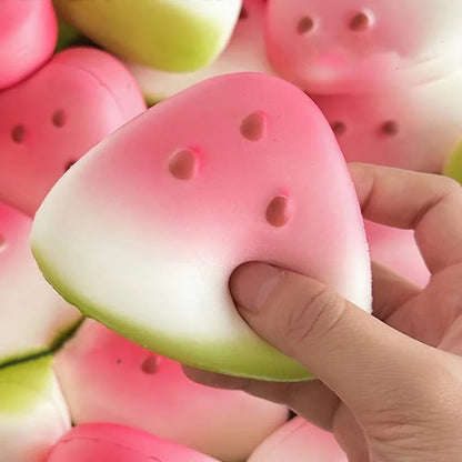 🍉Watermelon Squishy