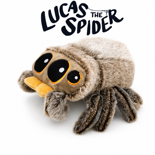 🕷️ Lucas The Spider Plush Toy
